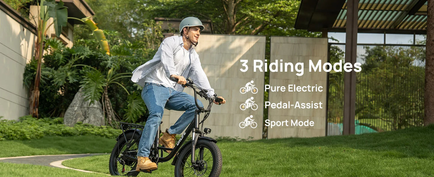 URLIFE 1000W E20 Electric Bike | 48V 13Ah Removable Battery, 20MPH, 20''X3" Fat Tire, 7-Speed E-Bike with Dual Disc Brake